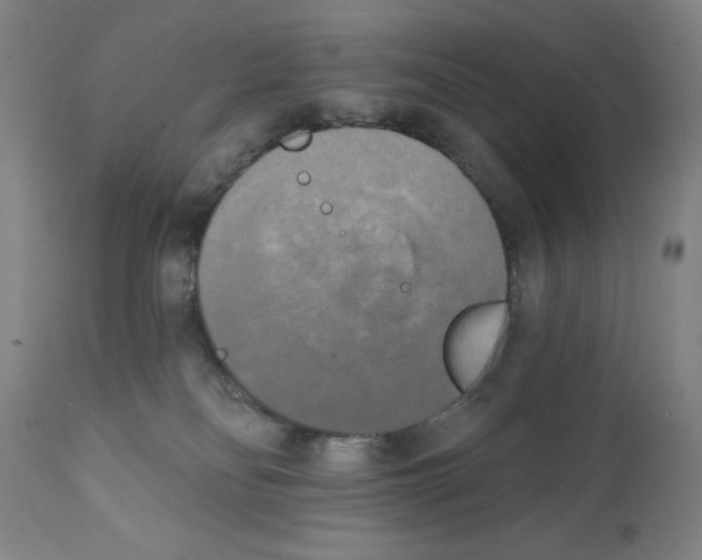 X0000111480134200908251010