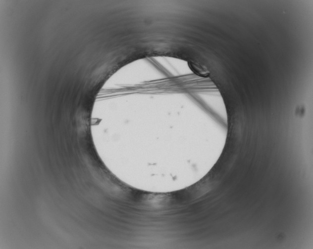 X0000111480135200908251010
