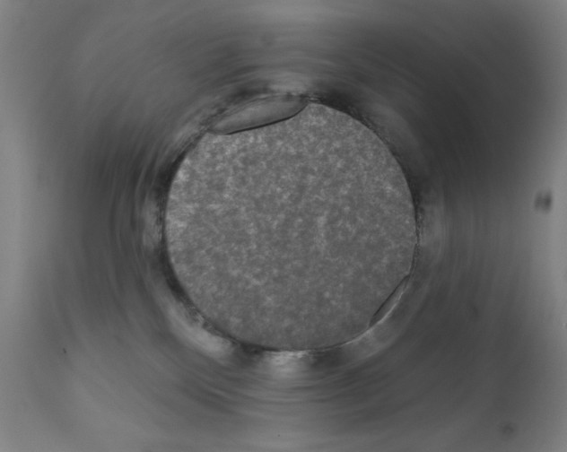 X0000111480136200908251010