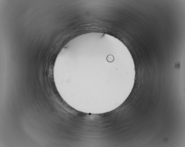 X0000111480137200908251010