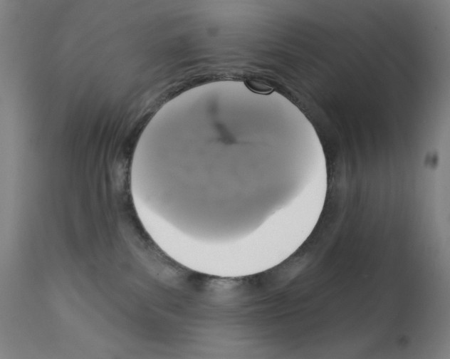 X0000111480139200908251010