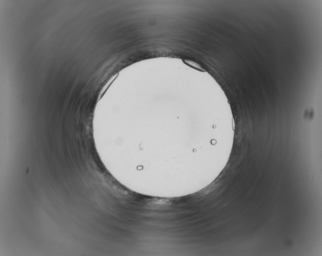X0000111480140200908251010