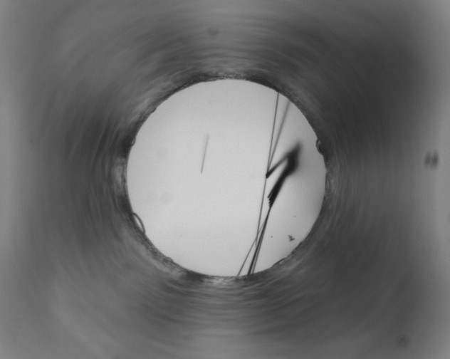 X0000111480141200908251010