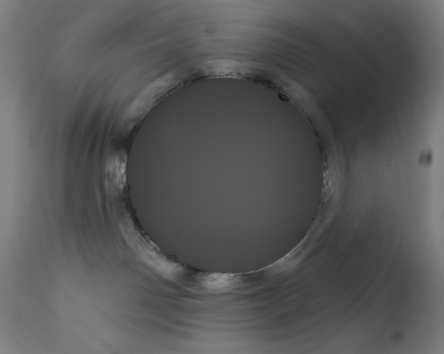 X0000111480142200908251010