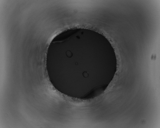 X0000111480144200908251010