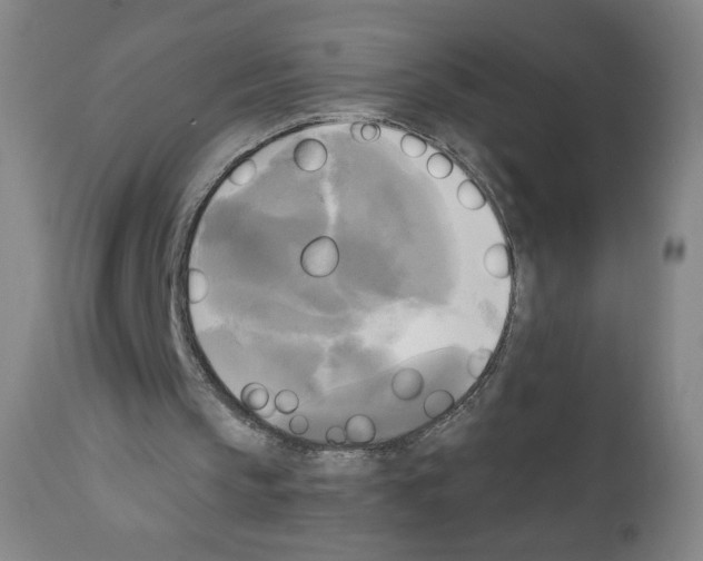 X0000111480145200908251009