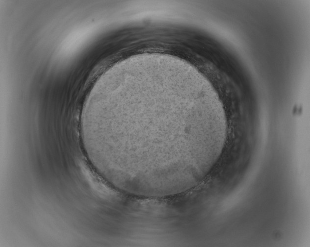 X0000111480146200908251010