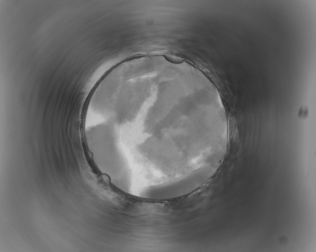 X0000111480147200908251010