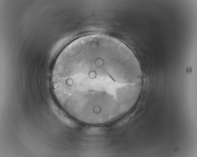 X0000111480149200908251010