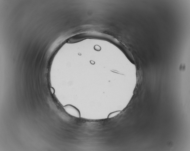 X0000111480150200908251010
