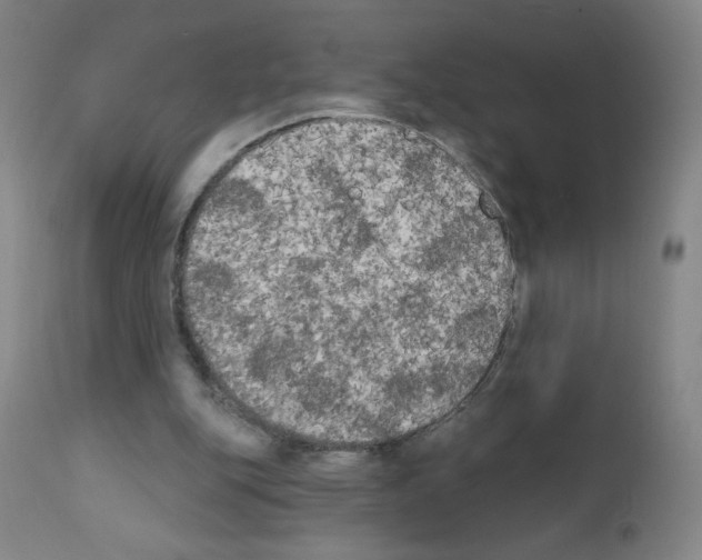 X0000111480151200908251010