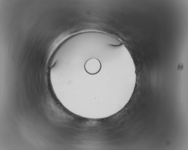 X0000111480152200908251010