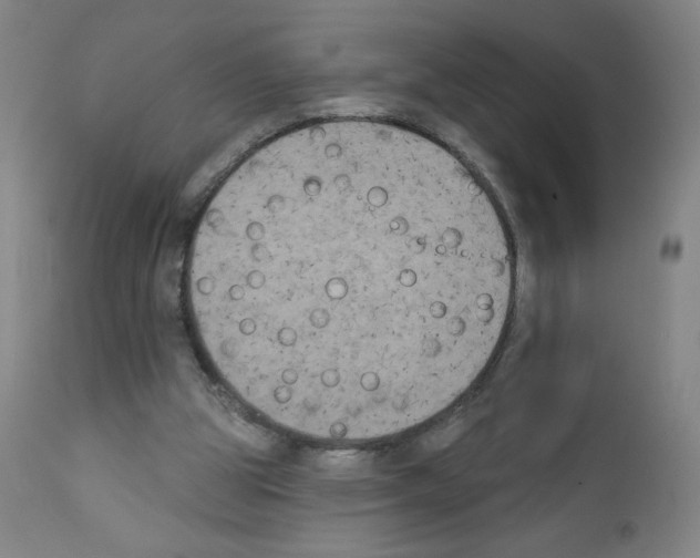 X0000111480153200908251010