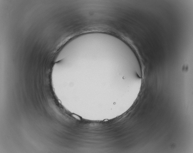 X0000111480154200908251010