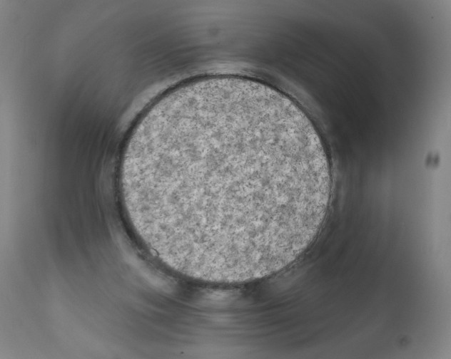 X0000111480155200908251010