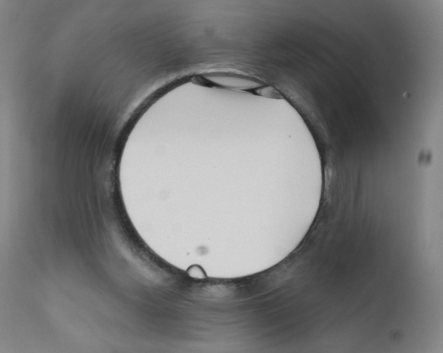 X0000111480156200908251010