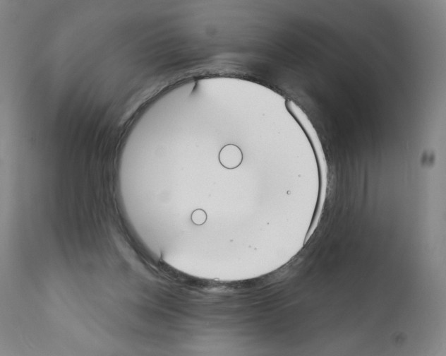 X0000111480158200908251010