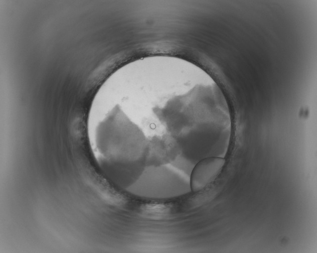 X0000111480161200908251010