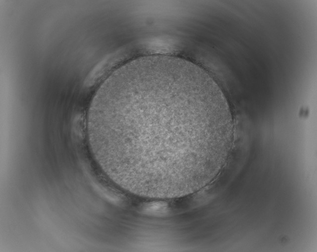 X0000111480162200908251010