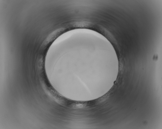 X0000111480163200908251010