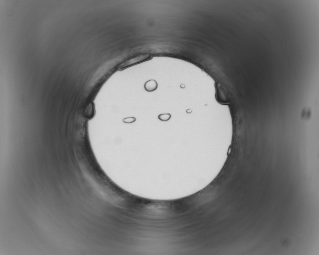 X0000111480164200908251010