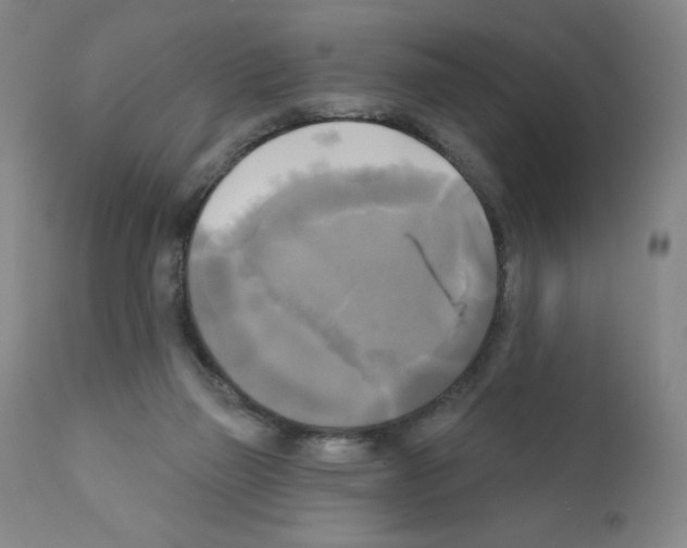 X0000111480165200908251010
