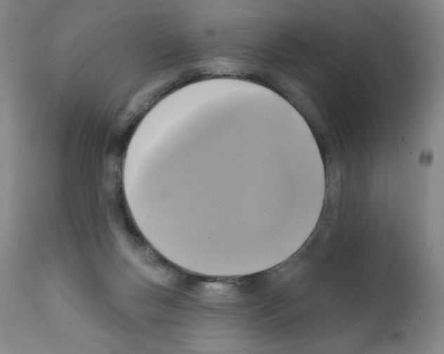 X0000111480167200908251010