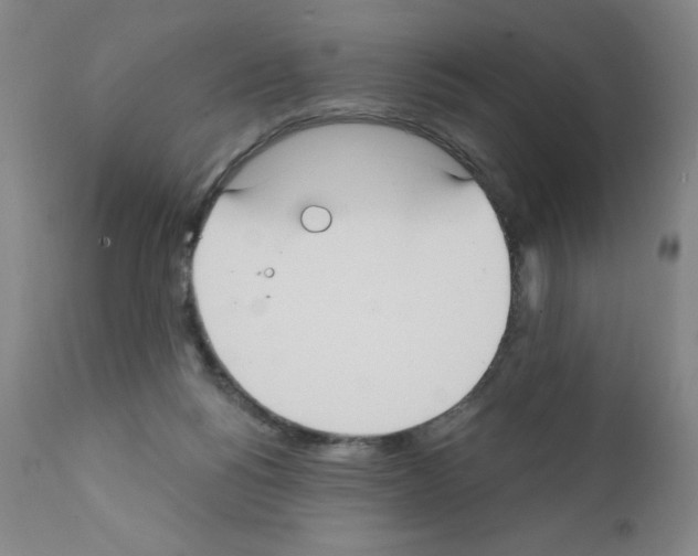 X0000111480168200908251010