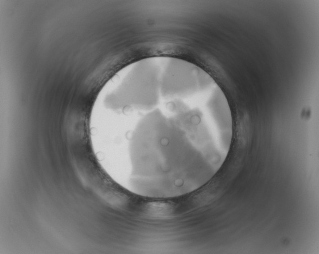X0000111480169200908251010
