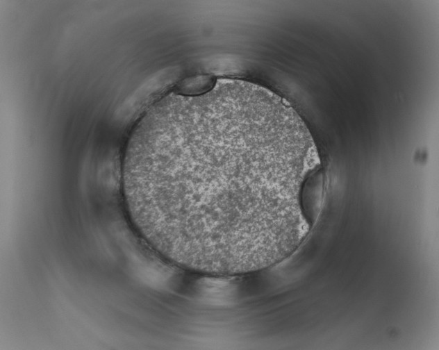 X0000111480170200908251010