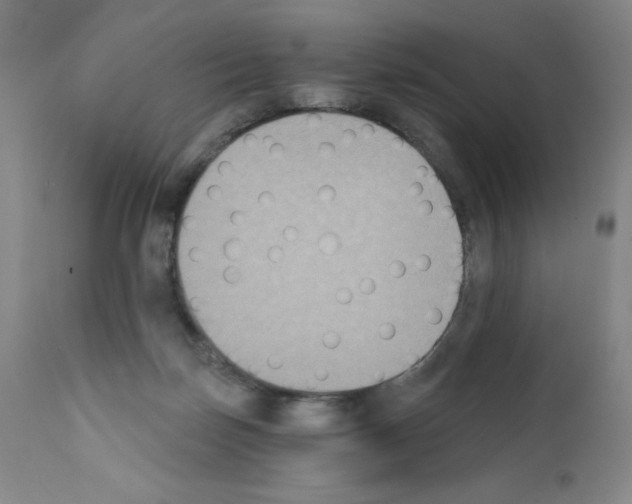 X0000111480171200908251010