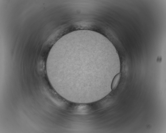 X0000111480173200908251010