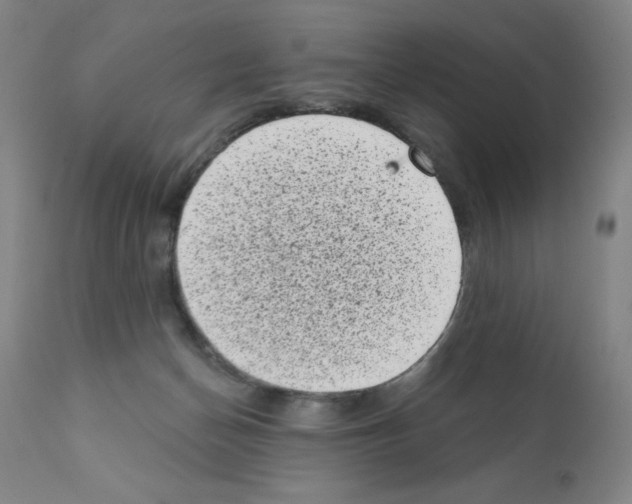X0000111480174200908251010