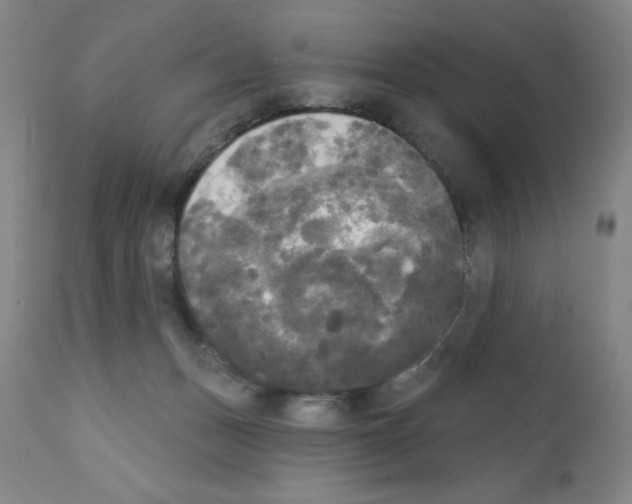 X0000111480175200908251010