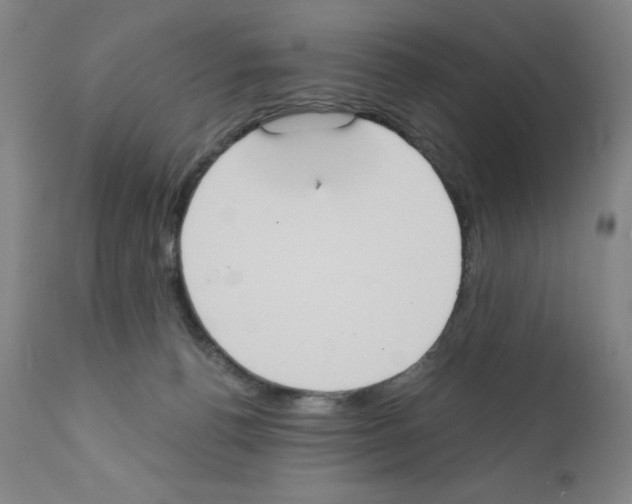 X0000111480176200908251010