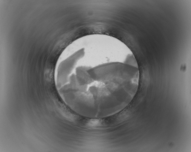 X0000111480177200908251010