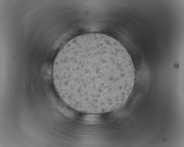 X0000111480179200908251010
