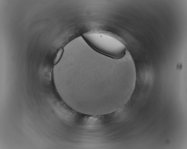 X0000111480180200908251010