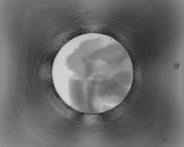 X0000111480181200908251010