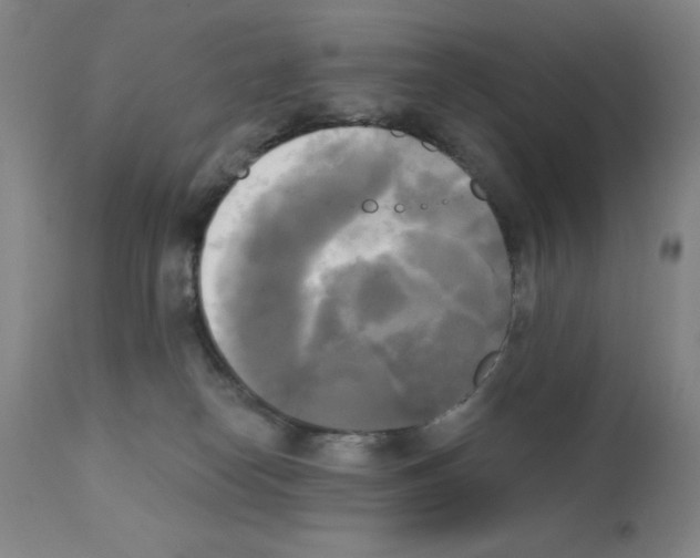 X0000111480182200908251010