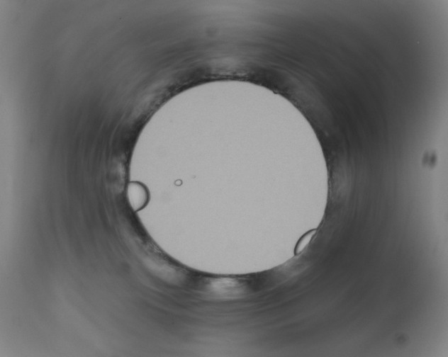 X0000111480183200908251010