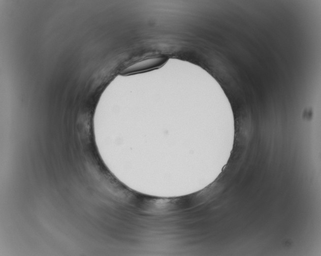 X0000111480184200908251010