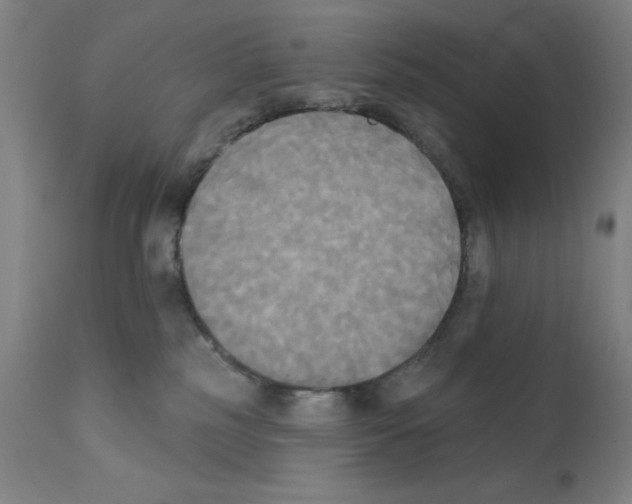 X0000111480185200908251010