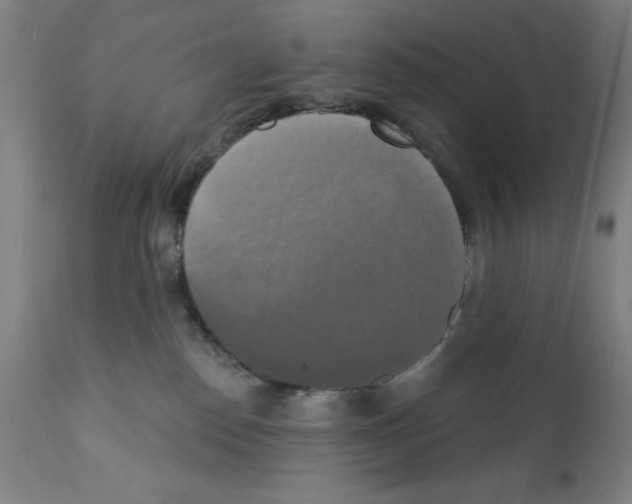 X0000111480186200908251010