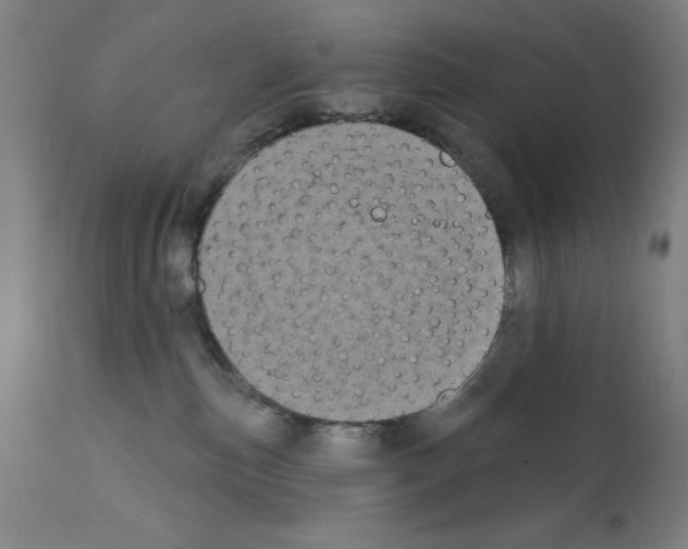 X0000111480187200908251010
