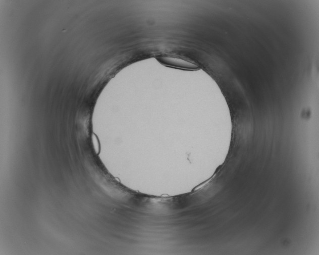 X0000111480188200908251010
