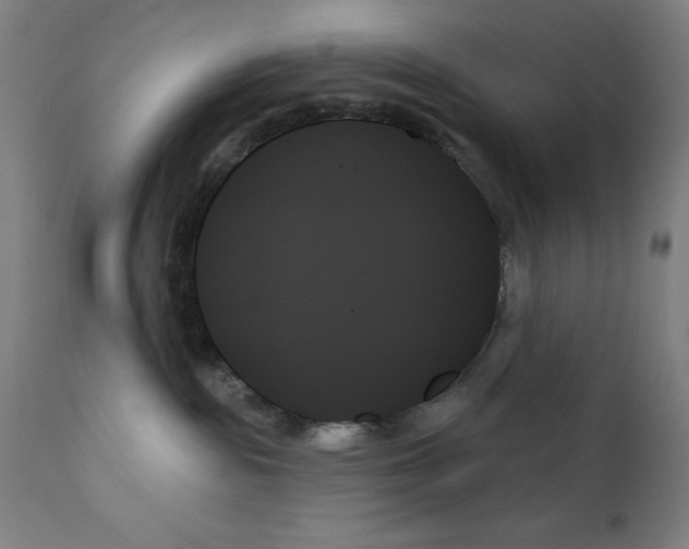 X0000111480189200908251010