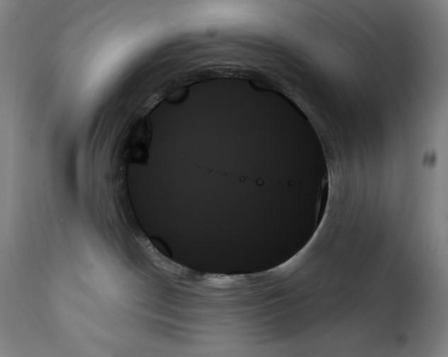 X0000111480190200908251010