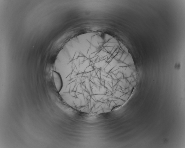 X0000111480191200908251010