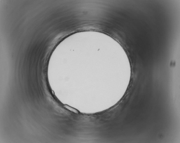 X0000111480193200908251009